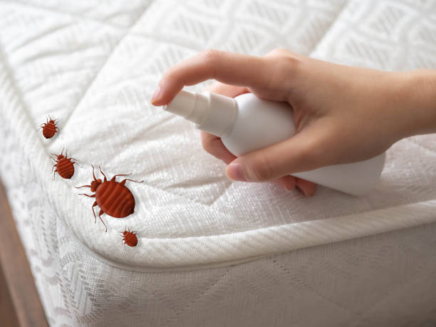 Reliable Oakdale, CA Pest control Solutions